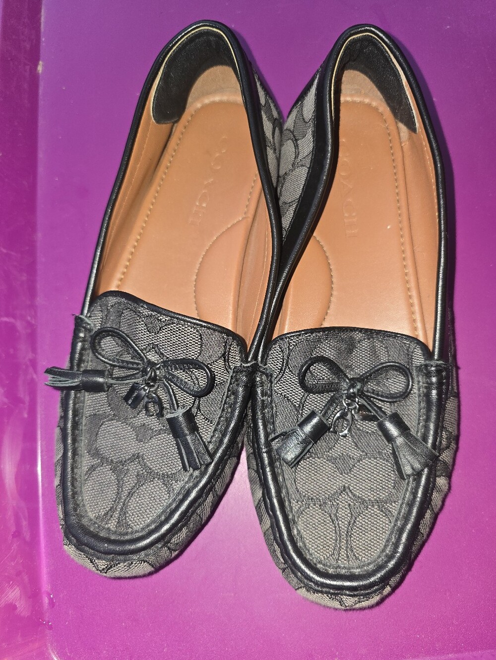 COACH Moira Loafers